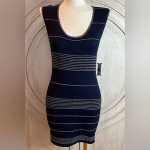 Women’s Navy and Silver Striped Dress